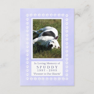 Convite Pet Memorial Card 3,5"x5" - Pawprint Azul Celestia