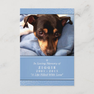 Convite Pet Memorial Card 3.5 x 5 Blue God Viu You Poem
