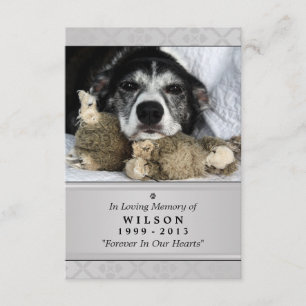 Convite Pet Memorial Card 3,5" x 5" - Foto Moderna Cinza