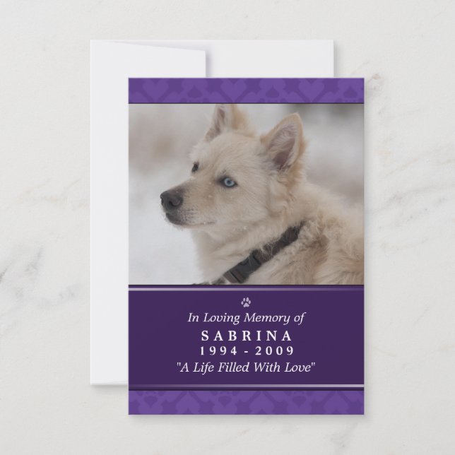 Convite Pet Memorial Card 3,5" x 5" - Purple Photo Modern (Frente)