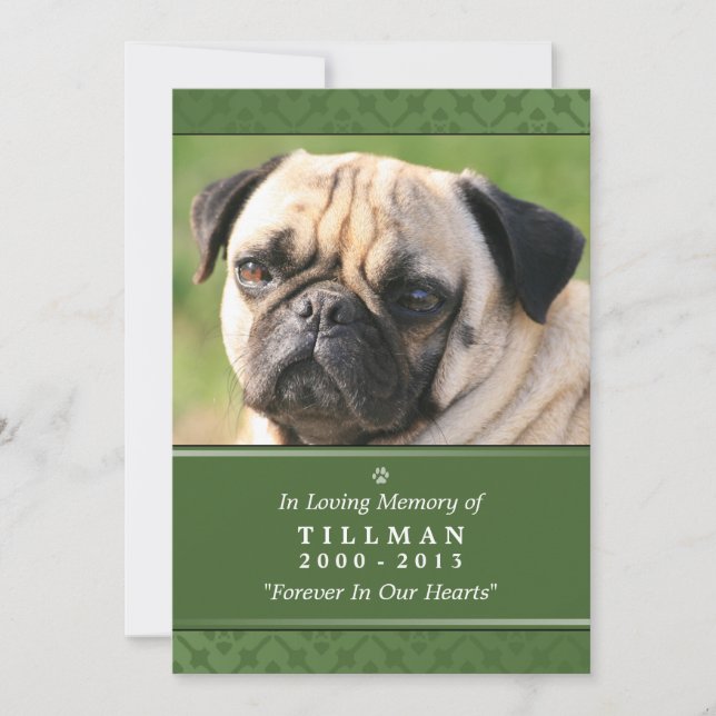 Convite Pet Memorial Card 5"x7" Foto Verde (Frente)