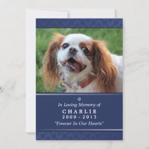Convite Pet Memorial Card 5"x7" Marinho Foto Azul