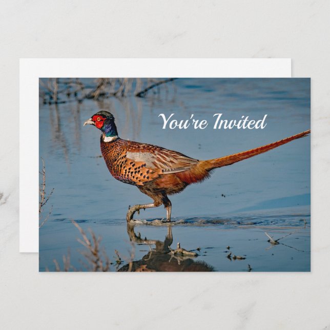 Convite Pheasant Blue Water Photo Birthday (Frente/Verso)