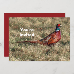 Convite Pheasant Photo Christmas