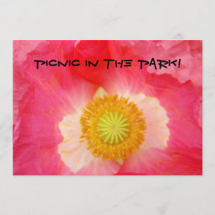 Convite PicNic no parque! Celebração de CHURRASCO de Car