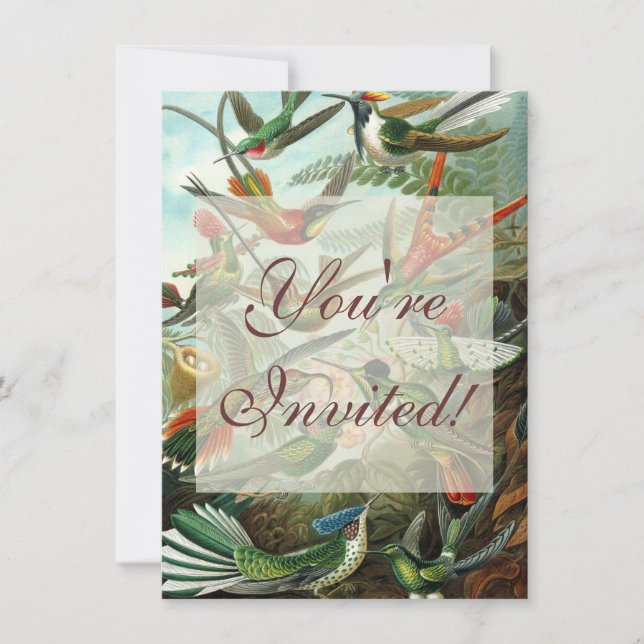 Convite pintura clássica da fauna selvagem de beija-flor (Frente)