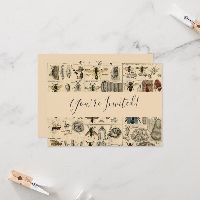 Convite Pintura De Abelhas Insetos Insetos Vaza Natureza N (Frente/Verso In Situ)