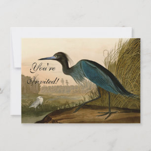 Convite Pintura de Heron Audubon com Crane Azul