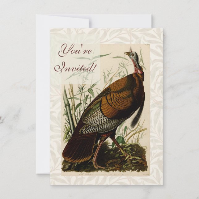 Convite Pintura de peru selvagem de Audubon (Frente)