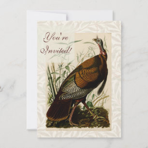 Convite Pintura de peru selvagem de Audubon