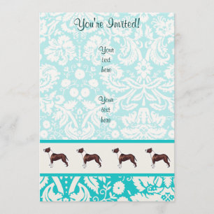 Convite Pitbull; Cuta