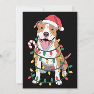 Convite Pitbull de Natal Cachorro Chapéu do Papai Noel Luz