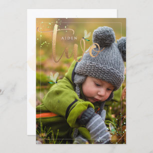 Convite PixDezines Explorando a Natureza, Dragonflies segu