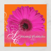 PixDezines Gerbera, evento rosa/escuro!