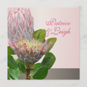 Convite PixDezines Maui protea fresca rosa pálido/escuro