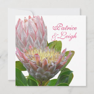 Convite PixDezines Maui protea fresca rosa pálido/escuro