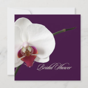 Convite PixDezines orquídeas/phalaenopsis