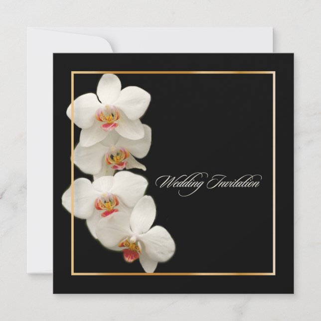 Convite PixDezines orquídeas/phalaenopsis (Frente)