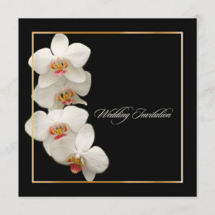 Convite PixDezines orquídeas/phalaenopsis