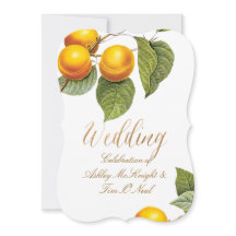 PixDezines Pomar/Pêssegos/Redoute