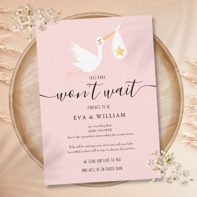 Convite Placa cor-de-rosa de Cancelamento do chá de fralda (Baby Shower Sprinkle Cancellation Pink Card)