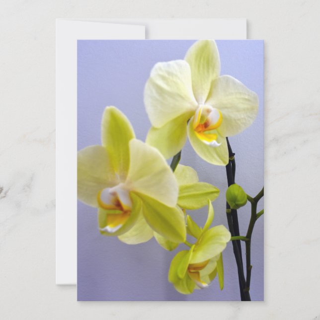 Convite Placa de saudação Dentro Orquídea Amarela para qua (Frente)