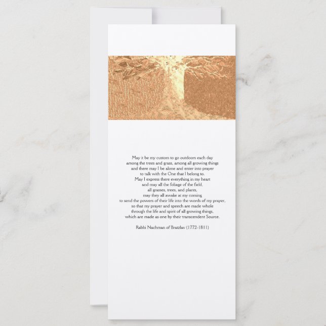 Convite Placa Reb Nachman de 4" x 9,25" com Envelope (Frente)