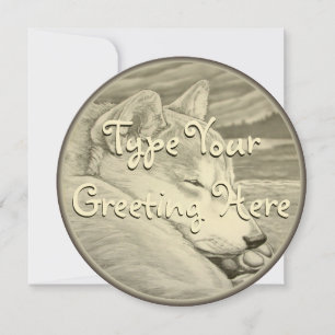 Convite Placas Shiba Inu Personalizadas Shiba Inu