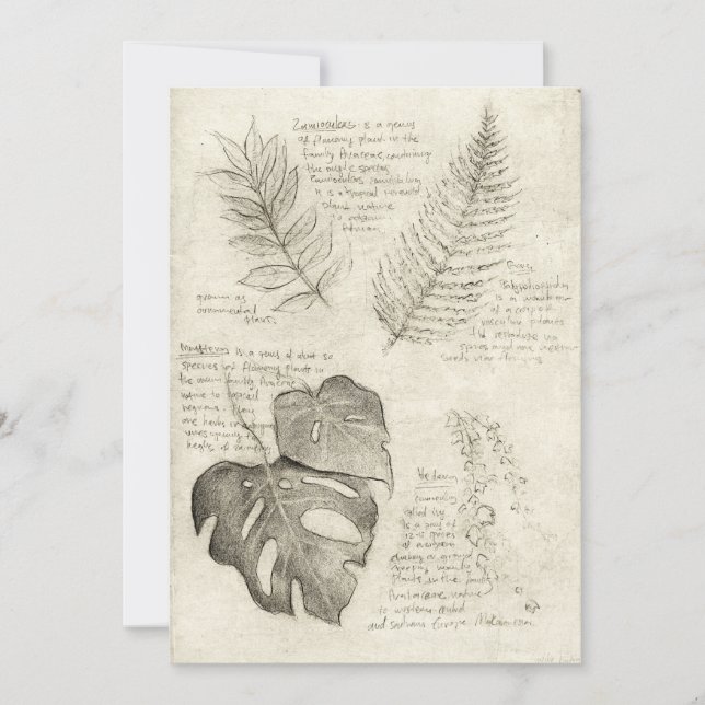 Convite Plantas (Frente)