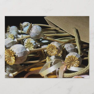 Convite Pods De Flores Secos