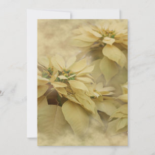 Convite Poinsettias Cor Creme Arte Digital