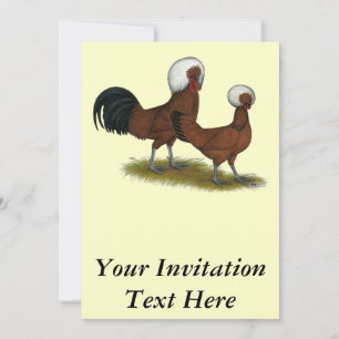 Convite  Polonês:  Leds Brancos Detidos