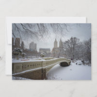 Ponte Arco Central Park - Casamento no inverno de
