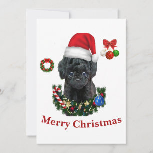 Convite Poodle Natal