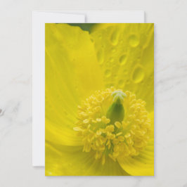 Convite Poppy amarelo oriental