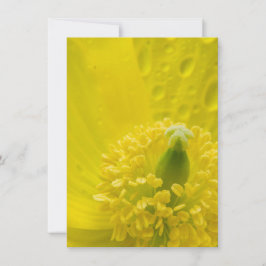 Convite Poppy amarelo oriental