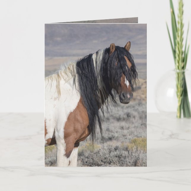 Convite Portrait of Zephyr Wild Horse Greeting Card (Frente)