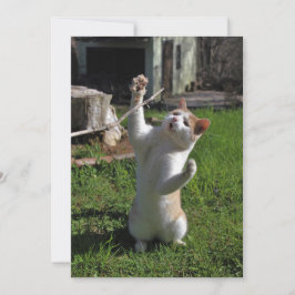 Convite Predador feroz