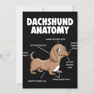 Convite Presente de Cachorro   Anatomia Dachshund Engraçad