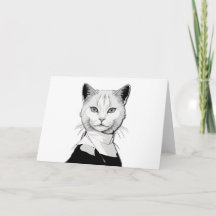 Preto Místico e Branco Gato de Salem