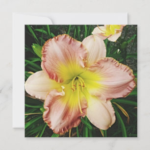 Convite Primavera Blooms