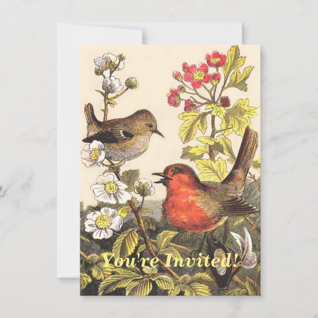 Convite Primavera Robin Birds Red Birds (Frente)