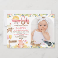 Primeiro aniversario de Animais de Criação de Arco