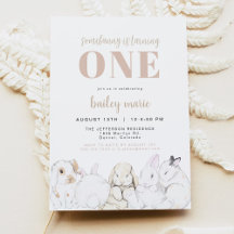 Primeiro aniversario de coelhinhos de pastel bonit