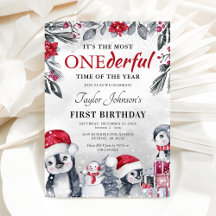 Primeiro aniversario de Natal de Winter Onederland
