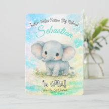Primeiro Aniversário do Elefante Vamos Fazer Muito