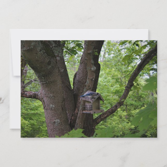 Convite Procurando uma mordida para comer (Frente)