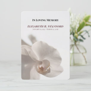 Convite Programa Memorial de Orquídea Branca Minimalista