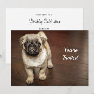 Convite Pug Brown Dog Photo Birthday