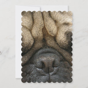 Convite Pug com sono